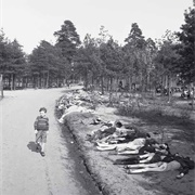 A Young Boy Walks Past Corpses at Bergen-Belsen (George Rodger)