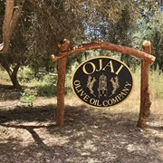 Ojai Olive Oil Company Farm