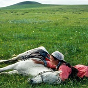 Horse Training for the Militia (Eve Arnold)