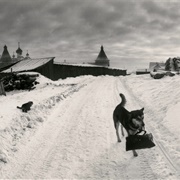 Solovki, White Sea, Russia (Pentti Sammallahti)