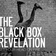 I Think I Like You - The Black Box Revelation