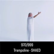 #1381 Trampoline by SHAED