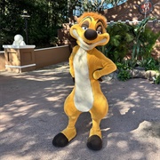 Timon