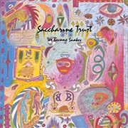 Saccharine Trust - We Became Snakes