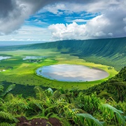 Ngorongoro Crater