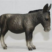 Donkey