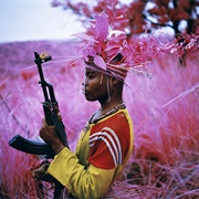 Safe From Harm From the Enclave (Richard Mosse)