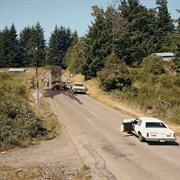 Exhausted Renegade Elephant, Woodland, Washington, June 1979 (Joel Sternfeld)