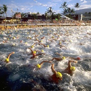 Ironman World Championships, Kona, Hawaii (Walter Iooss, Jr.)