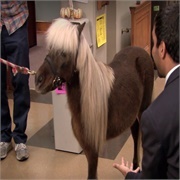 Parks and Recreation: &quot;Li&#39;l Sebastian&quot; (S3,E16)