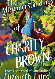 The Misunderstandings of Charity Brown (Elizabeth Laird)