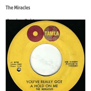 #93 You&#39;ve Really Got a Hold on Me by the Miracles