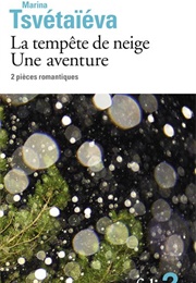 La Tempete De Neige &amp; Une Aventure (Marina Tsvetaieva)