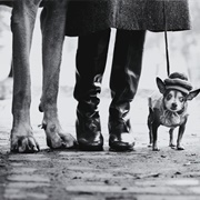 Felix, Gladys, and Rover (Elliott Erwitt)