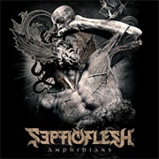 Amphibians - Septicflesh