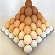 Gradient of Eggs