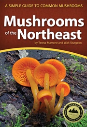 Mushrooms of the Northeast: A Simple Guide to Common Mushrooms (Teresa Marrone)