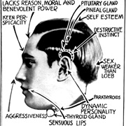 A Phrenologist&#39;s Study of Nathan Leopold Jr.