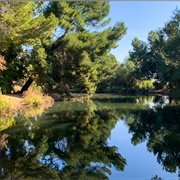 Ernest E. Debs Regional Park