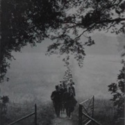 Racegoers in Field