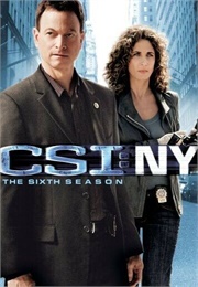 CSI: NY Season 6 (2010)