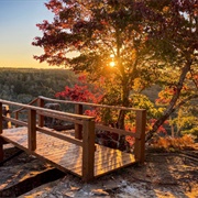 Sand Mountain, Alabama