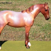 Thoroughbred Mare