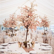 Wedding Tree Centerpieces