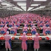 Manufacturing #17 (Edward Burtynsky)