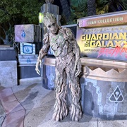 Groot