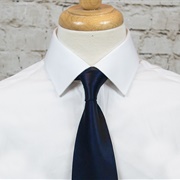 Point Collar Dress Shirt