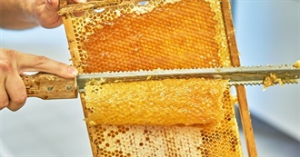 The Honey Challenge