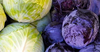 60 Foods With Cabbage