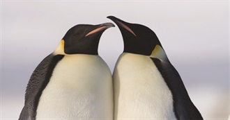 Fictional Penguins