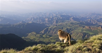 Lonely Planet&#39;s Top Experiences and Sights in Ethiopia