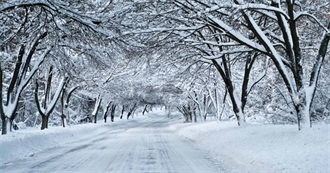 Snow Day Books by 186Fleetstreet