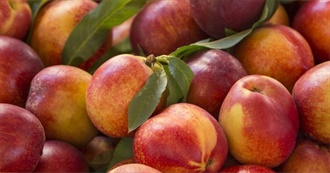 NIFTY- NECTARINES