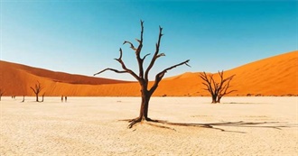 Lonely Planet&#39;s Top Experiences and Sights in Namibia