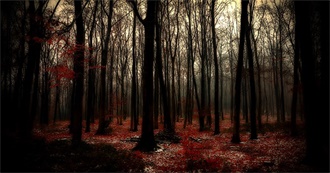 10 of the Best Horror and Mystery Novels Set in the Woods