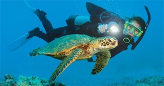 World&#39;s Best Dive &amp; Snorkle Sites