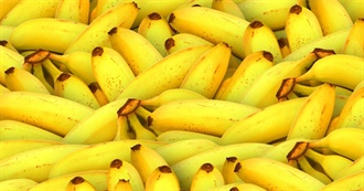 Banana Paradise