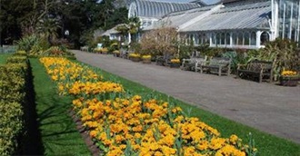 Gardens and Flower Shows