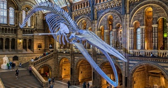 UK Museums and Attractions I&#39;ve Been To