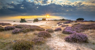 National Parks of the Netherlands