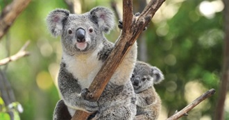 Happy Australia Day 2018