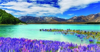 Top 10 Things to See in New Zealand