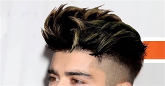 Hair Style Portfolios by Celeb: Zayn