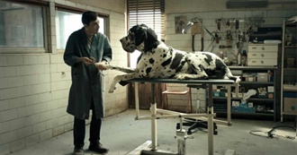 Animals in Film - Dogs, Mans Best Friend