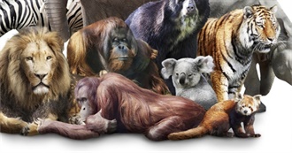 Top Favorite Mammals 2