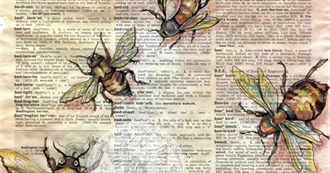 &quot;Bee&quot; Well-Read With This List